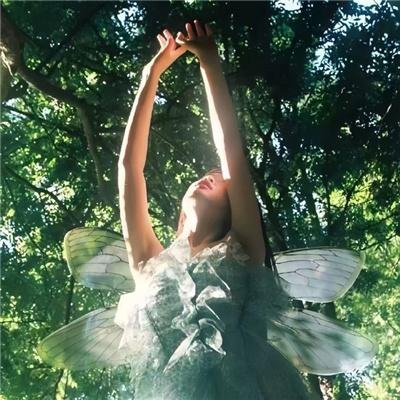 女生日记之做决定事务所