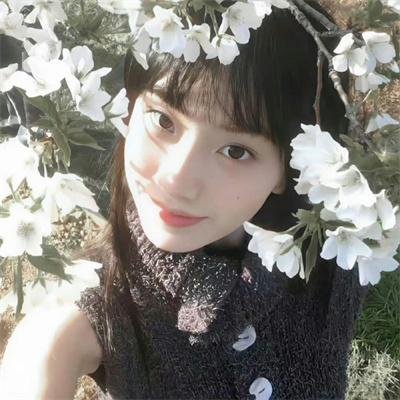 当旺爸爸国语